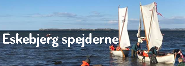 Søgruppens arkiv: eskebjerg